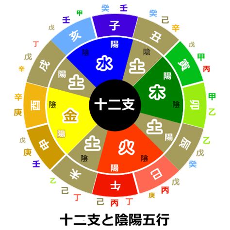 壬屬性|八字基礎教學,陰陽,五行,干支,廿四節氣（20分鐘了解）